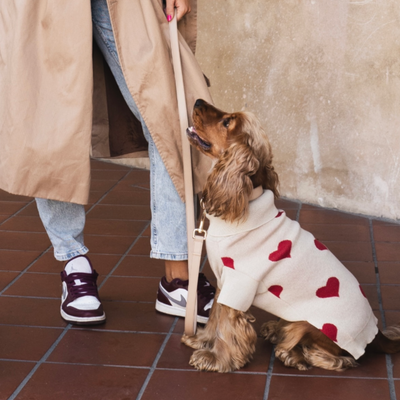 Pull tricoté avec des coeurs